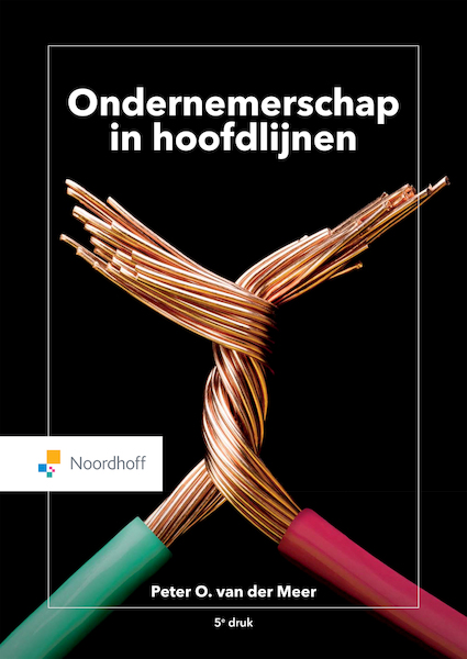 Ondernemerschap in Hoofdlijnen (e-book) - Peter O. van der Meer (ISBN 9789001277772)