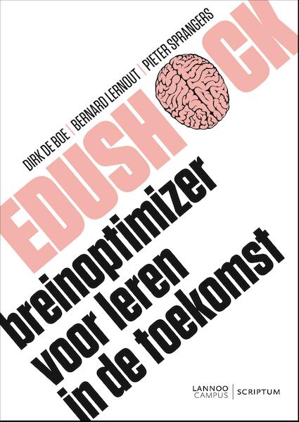 Edushock - Dirk de Boe, Bernard Lernout, Pieter Sprangers (ISBN 9789020978834)