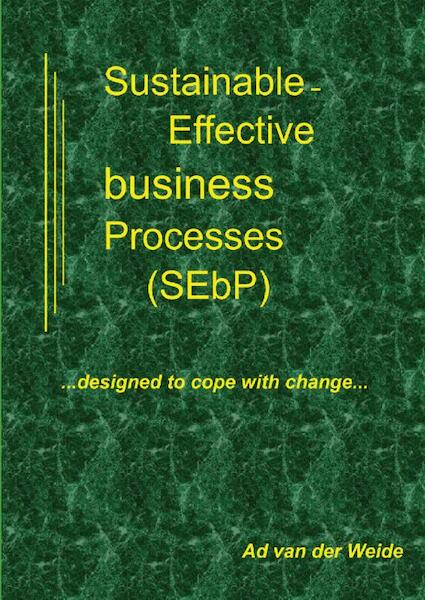 Sustainable-Effective business pProcesses (SEbP) - Ad van der Weide (ISBN 9789461931603)