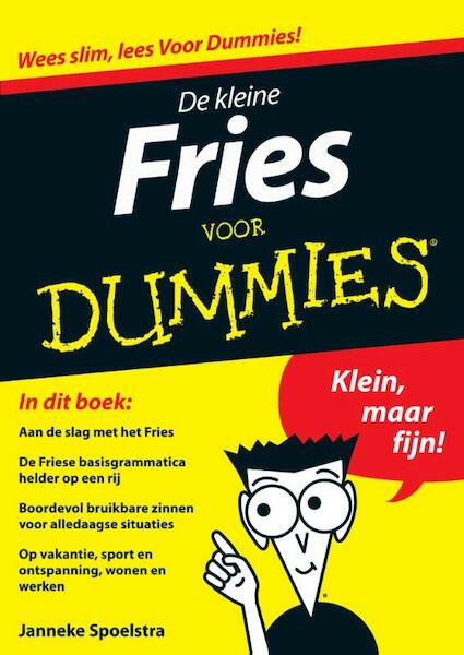 De kleine Fries voor dummies - Janneke Spoelstra (ISBN 9789043028783)