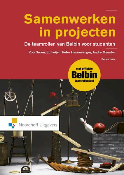 Samenwerken in projecten - Rob Groen, Ed Feijen, Peter Hennevanger, André Meester (ISBN 9789001853815)