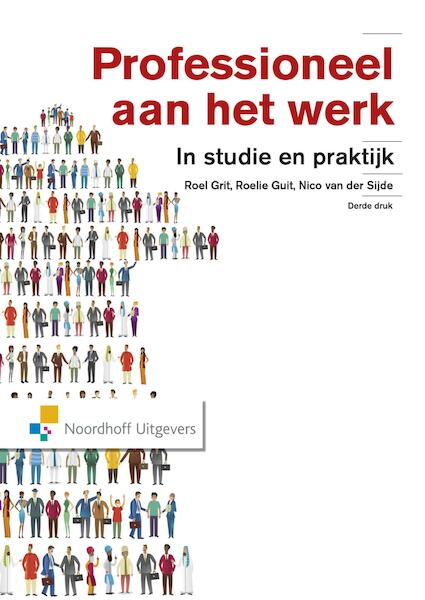 Professioneel aan het werk - Roel Grit, Roelie Guit, Nico van der Sijde (ISBN 9789001853310)