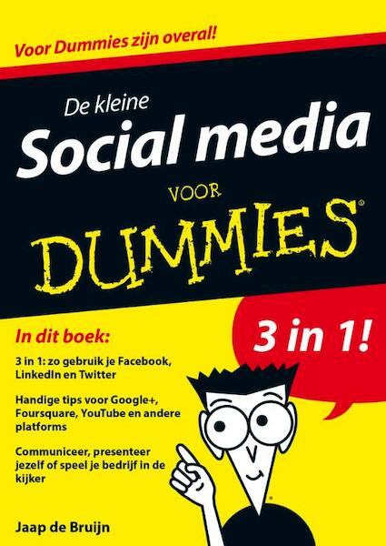 De kleine social media voor Dummies - Jaap de Bruijn (ISBN 9789045351445)