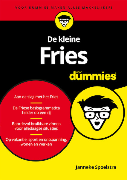De kleine Fries voor Dummies - Janneke Spoelstra (ISBN 9789045355108)
