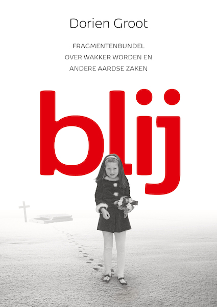 BLIJ - Dorien Groot (ISBN 9789493191099)