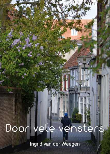 Door vele vensters / 2 - Ingrid van der Weegen (ISBN 9789082431803)