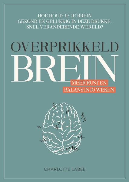 Overprikkeld Brein - Charlotte Labee (ISBN 9789043924894)