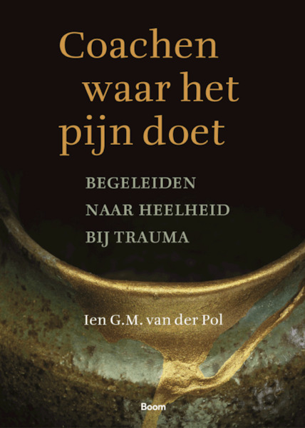 Coachen waar het pijn doet - Ien G.M. van der Pol (ISBN 9789058755513)