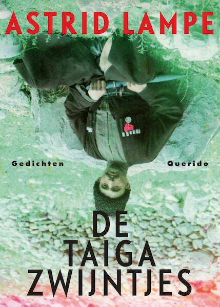 De taiga zwijntjes - Astrid Lampe (ISBN 9789021400440)