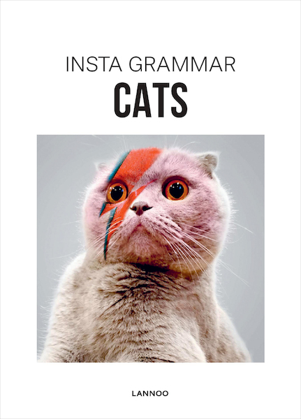 Insta Grammar - Cats (E-boek) - Irene Schampaert (ISBN 9789401438926)