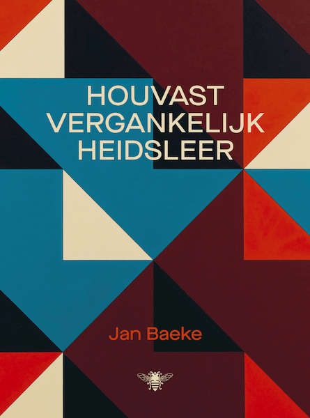 Houvastvergankelijkheidsleer - Jan Baeke (ISBN 9789403138008)