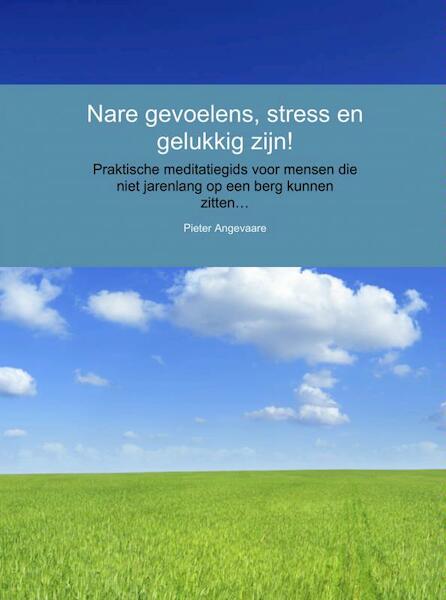 Nare gevoelens, stress en gelukkig zijn! - Pieter Angevaare (ISBN 9789402112702)