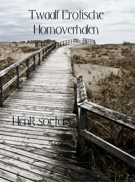 Twaalf Erotische Homoverhalen - Henk Soeters (ISBN 9789463183727)