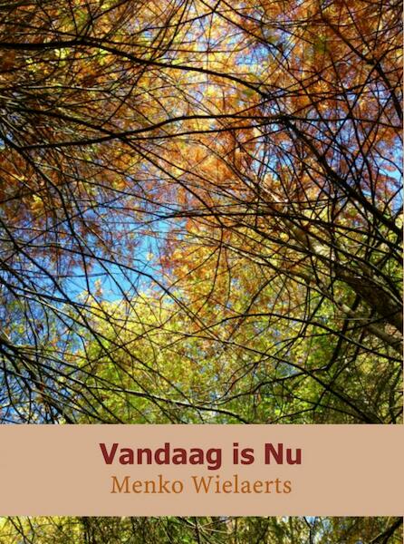 Vandaag is nu - Menko Wielaerts (ISBN 9789402124484)