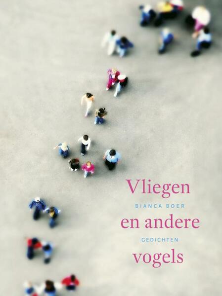 Vliegen en andere vogels - Bianca Boer (ISBN 9789020410723)