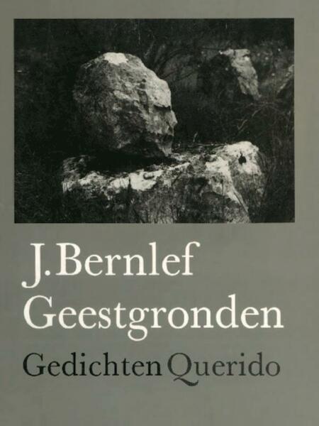Geestgronden - J. Bernlef (ISBN 9789021448305)