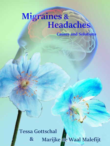 Migraines and Headaches - Tessa Gottschal, Marijke de Waal Malefijt (ISBN 9789081531108)