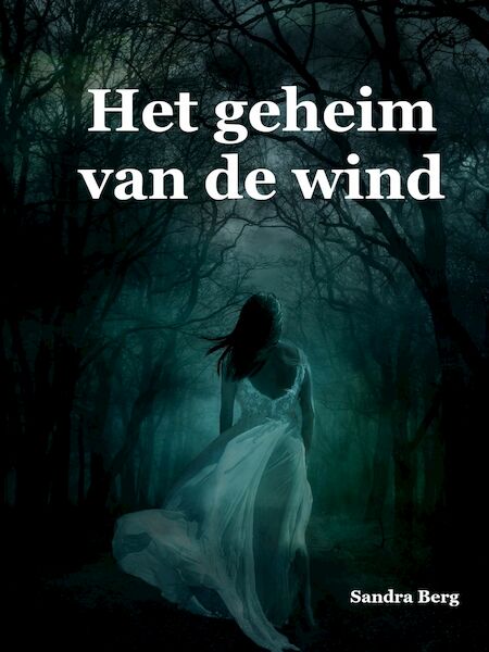 Het geheim van de wind - Sandra Berg (ISBN 9789462178595)