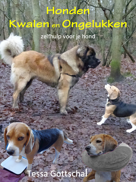 Honden kwalen en ongelukken - Tessa Gottschal (ISBN 9789071878244)