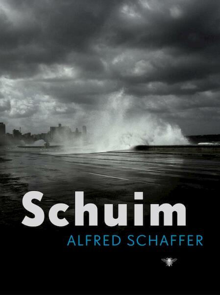 Schuim - Alfred Schaffer (ISBN 9789023421672)