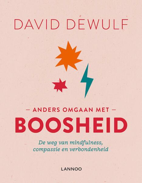 Anders omgaan met boosheid - David Dewulf (ISBN 9789401453752)
