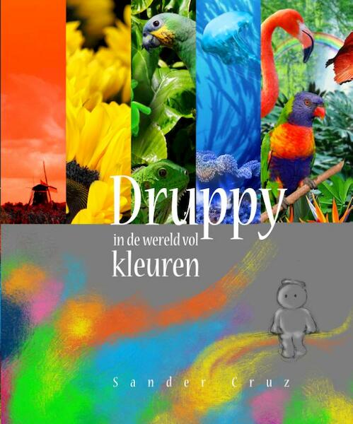 Druppy in de wereld vol kleuren - Sander Cruz (ISBN 9789082827101)
