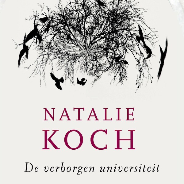 De verborgen universiteit 1 - Natalie Koch (ISBN 9789021407616)