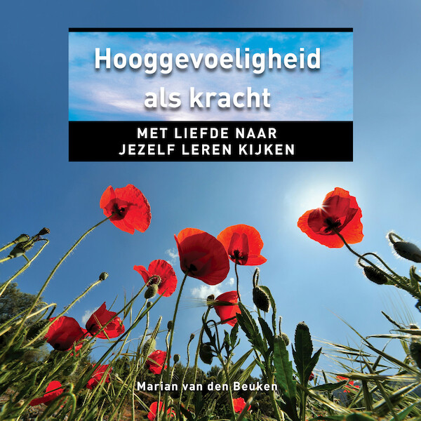 Hooggevoeligheid als kracht - Marian van den Beuken (ISBN 9789020215854)