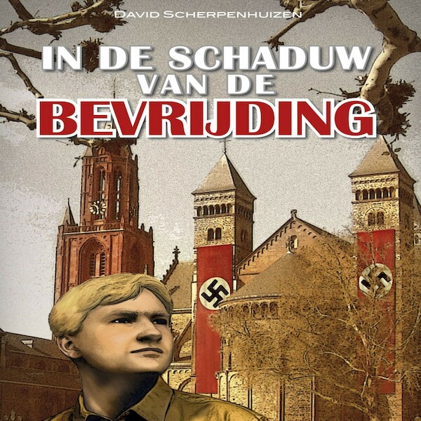 In de schaduw van de bevrijding - David Scherpenhuizen (ISBN 9789462171916)