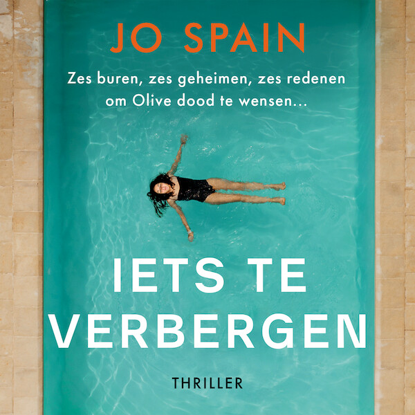 Iets te verbergen - Jo Spain (ISBN 9789026149801)