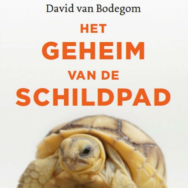 Het geheim van de schildpad - David van Bodegom (ISBN 9789045040318)