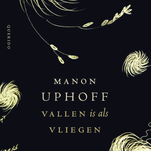 Vallen is als vliegen - Manon Uphoff (ISBN 9789021421087)