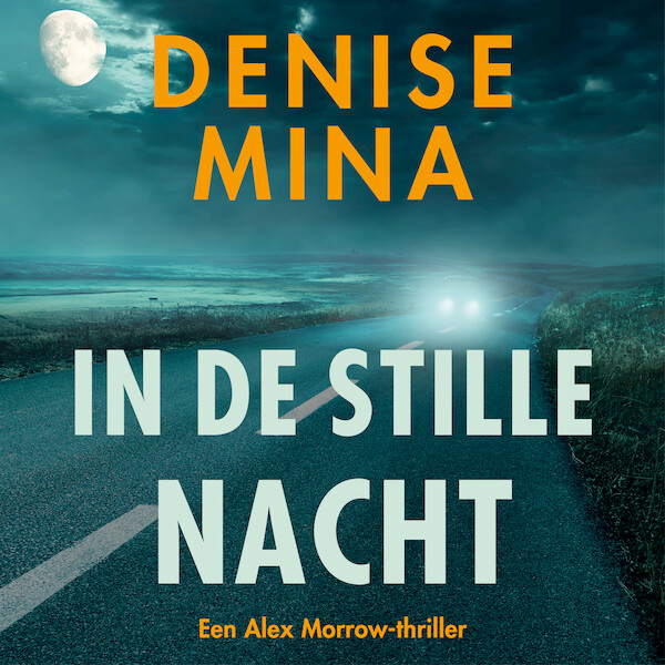 In de stille nacht - Denise Mina (ISBN 9789026353802)
