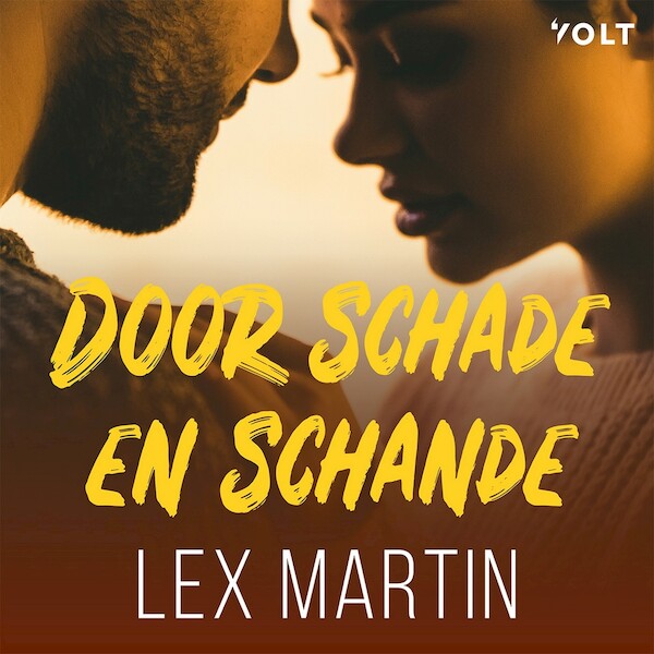 Door schade en schande - Lex Martin (ISBN 9789021424668)
