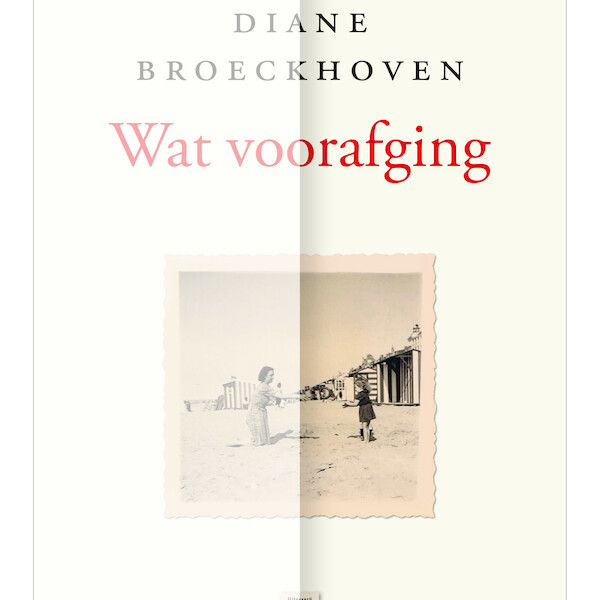 Wat voorafging - Diane Broeckhoven (ISBN 9789464340334)