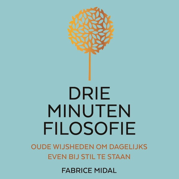 Drie minuten filosofie - Fabrice Midal (ISBN 9789046175989)