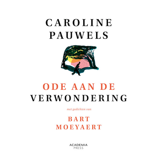Ode aan de verwondering - Caroline Pauwels (ISBN 9789401492447)