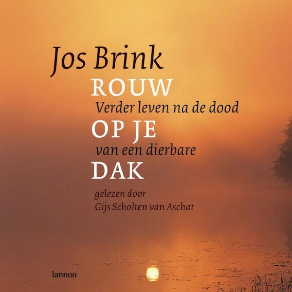 Rouw op je dak - J. Brink (ISBN 9789020976809)
