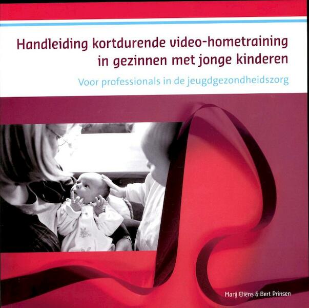 Handleiding kortdurende videohometraining in gezinnen met jonge kinderen - Marij Eliëns, Bert Prinsen (ISBN 9789085600541)