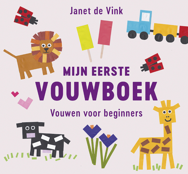 Mijn eerste vouwboek - Janet de Vink (ISBN 9789043922326)