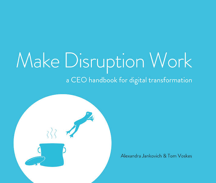 Make Disruption Work - Alexandra Jankovich, Tom Voskes (ISBN 9789082838206)