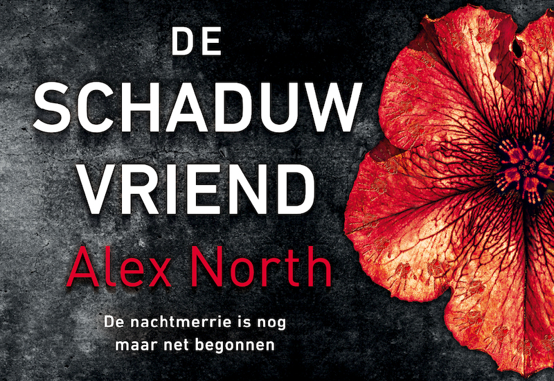 De schaduwvriend - Alex North (ISBN 9789049808327)