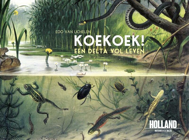 Koekoek! - Edo van Uchelen (ISBN 9789079703197)