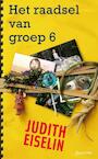 Het raadsel van groep 6 (e-Book) - Judith Eiselin (ISBN 9789045108056)