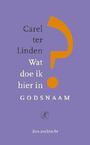Wat doe ik hier in godsnaam (e-Book) - Carel ter Linden (ISBN 9789029587730)