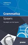 Grammatica Spaans (e-Book) - Emile Slager (ISBN 9789000331697)