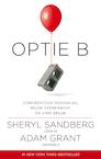 Optie B (e-Book) - Sheryl Sandberg, Adam Grant (ISBN 9789044976250)