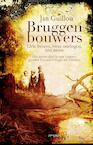 Bruggenbouwers (e-Book) - Jan Guillou (ISBN 9789044620795)