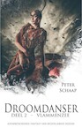 Vlammenzee (e-Book) - Peter Schaap (ISBN 9789463083577)