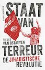 Staat van terreur (e-Book) - Pieter van Ostaeyen (ISBN 9789463101820)